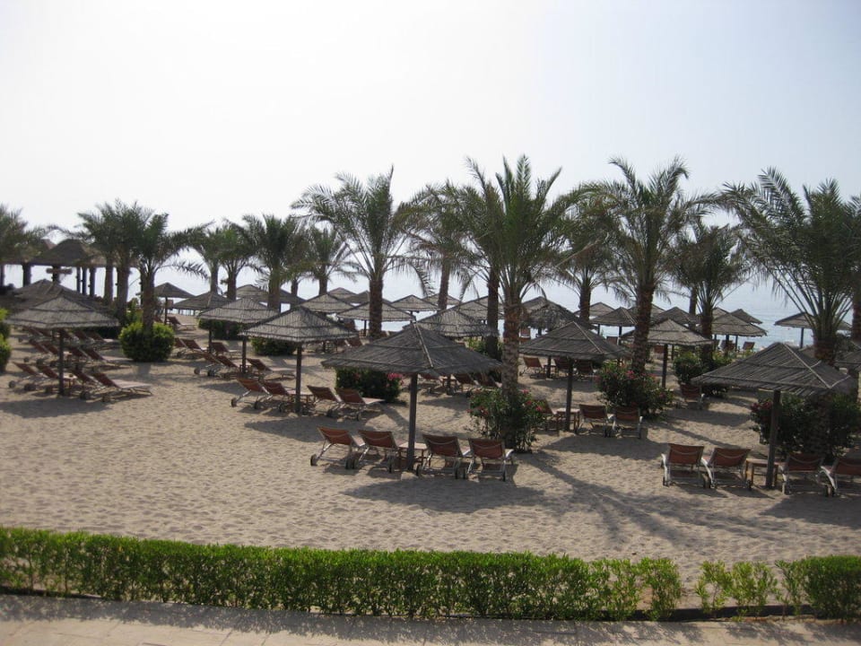 Privatstrand gen Meer Miramar Al Aqah Beach Resort