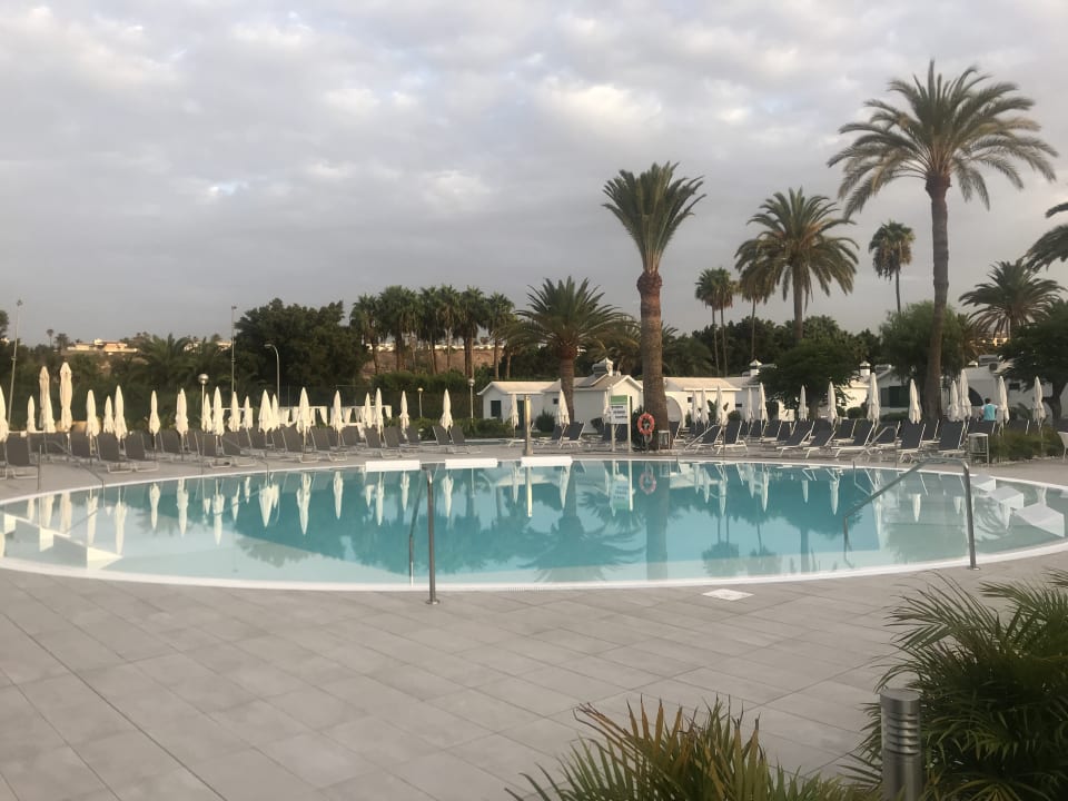 Pool Canary Garden Club