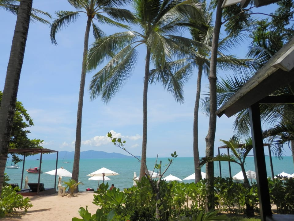 Weg zum Strand NH Collection Samui Peace Resort