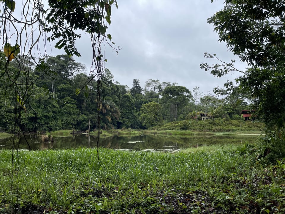 Außenansicht Confort Arenal