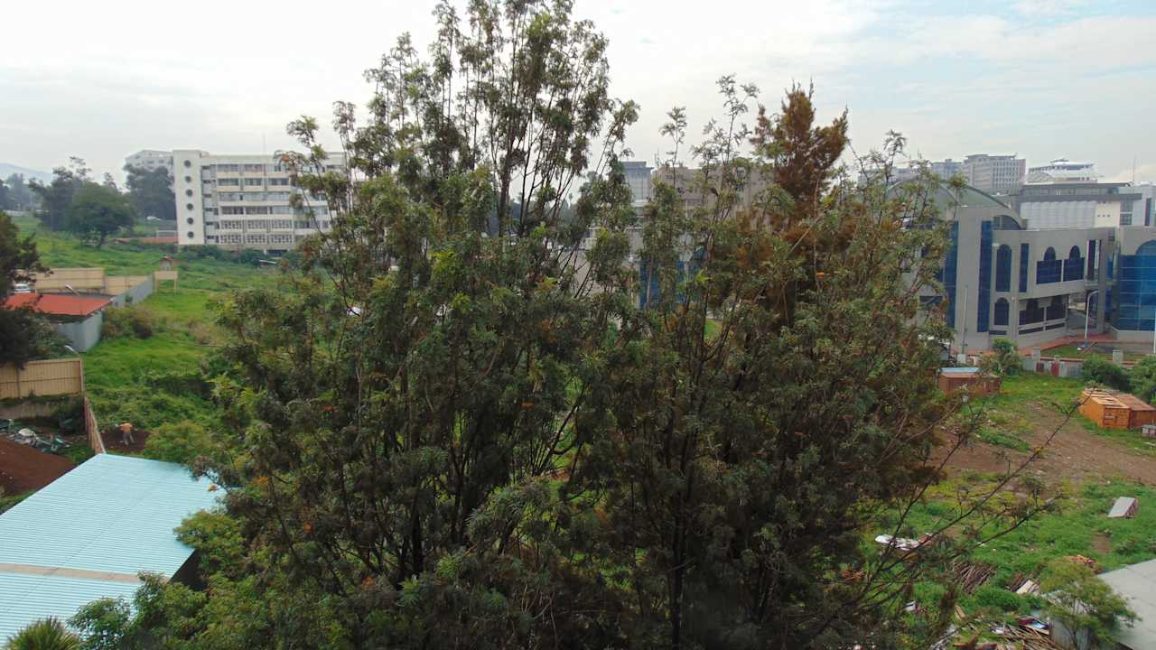 Ausblick Hotel Sheraton Addis