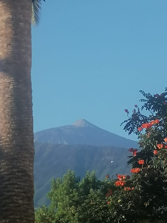 Gartenanlage TRH Taoro Garden