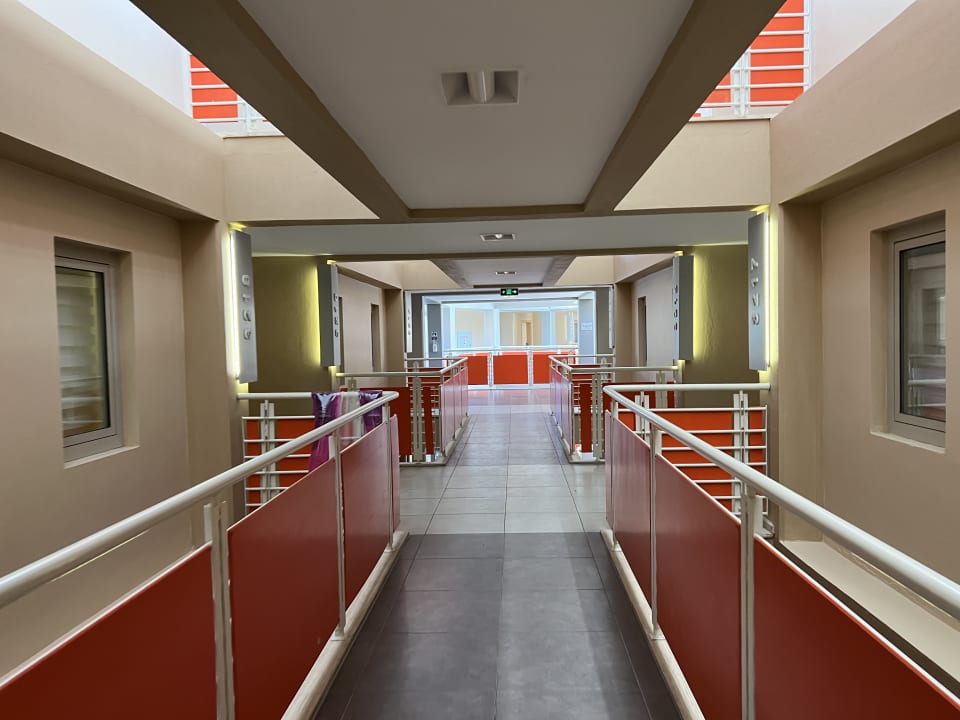 Zimmer AQI Pegasos World