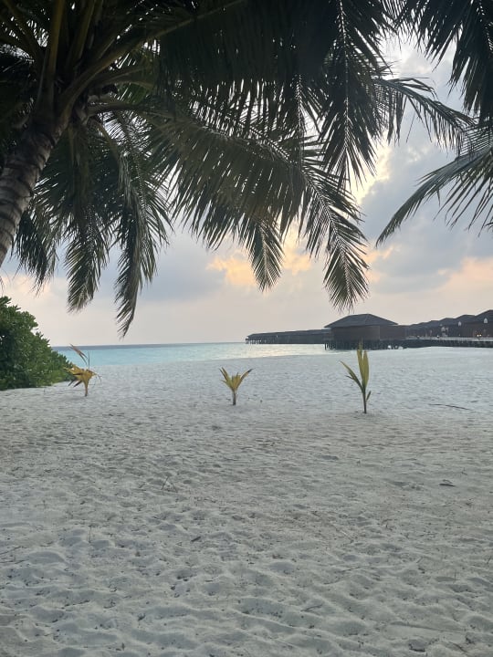 Strand Vilamendhoo Island Resort & Spa