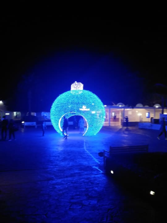 Sonstiges Desert Rose