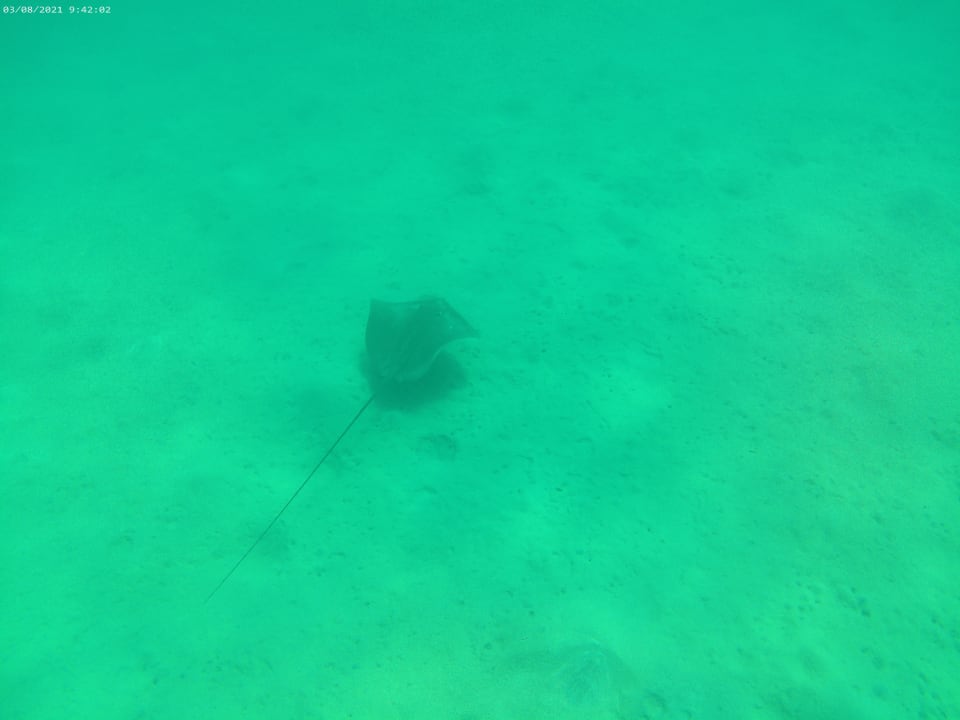 Sport & Freizeit Cleopatra Luxury Resort Makadi Bay