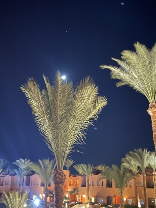 Ausblick Jaz Makadi Oasis Resort