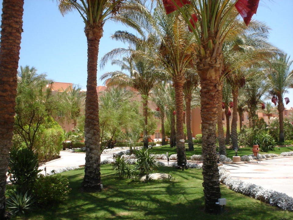 Территория отеля Jaz Makadi Oasis Resort
