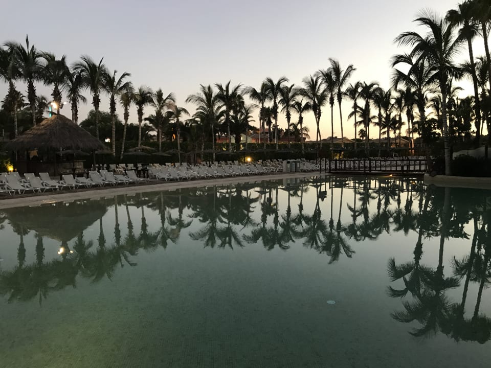 Pool Tabaiba Princess