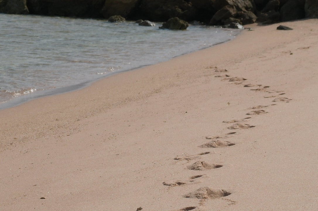 Spuren im Sand Pickalbatros Citadel Resort