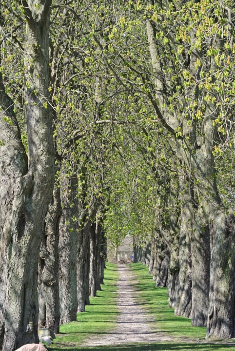 Fußgängerallee vor dem Haus Apparthotel Seehof