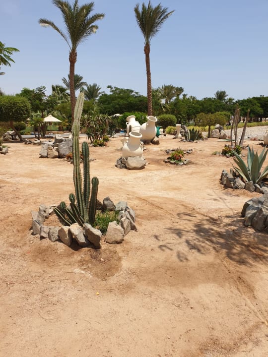 Garten Steigenberger Aqua Magic