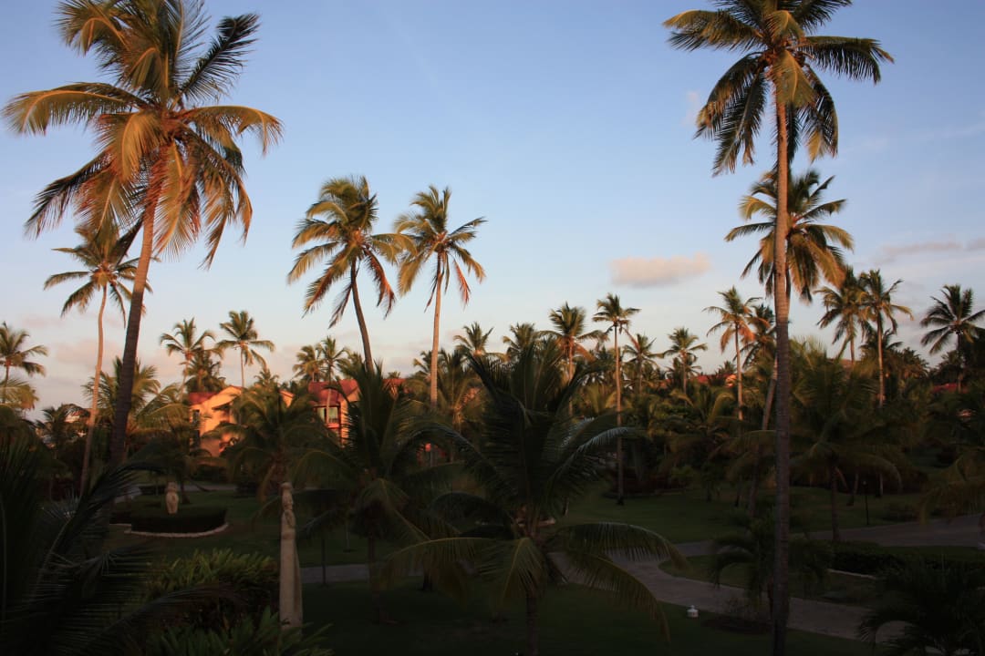 Ausblick aus dem Zimmer 3218 Punta Cana Princess All Suites Resort & Spa