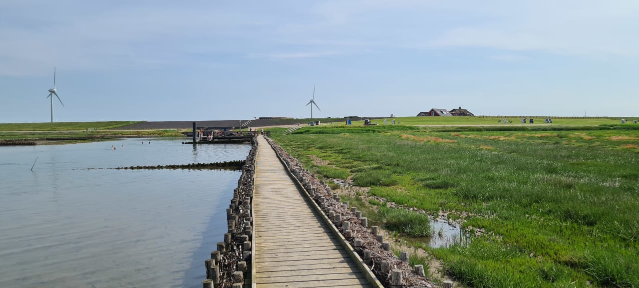 Strand Ferienhaus Hemenswarft direkt an der Nordsee mit Meerblick