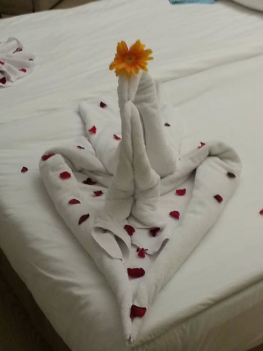 Bettdeko! AQI Pegasos Resort