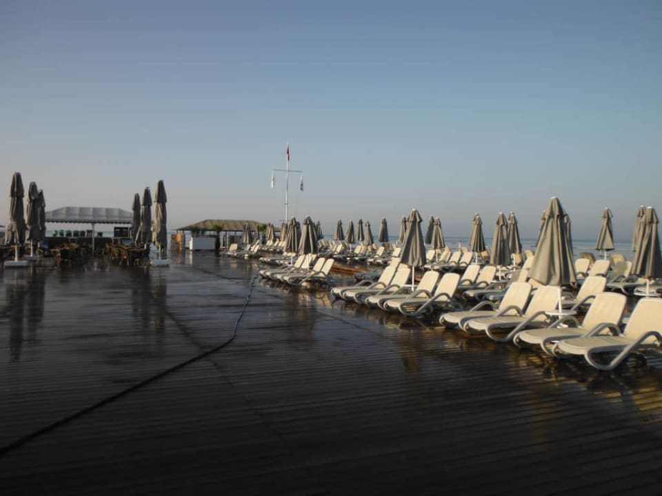 Royal Seginus Royal Seginus