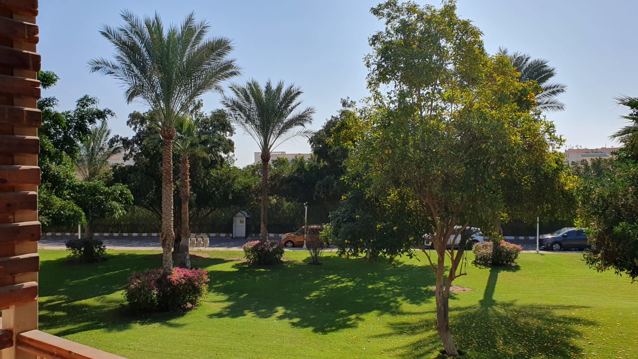 Gartenanlage Desert Rose