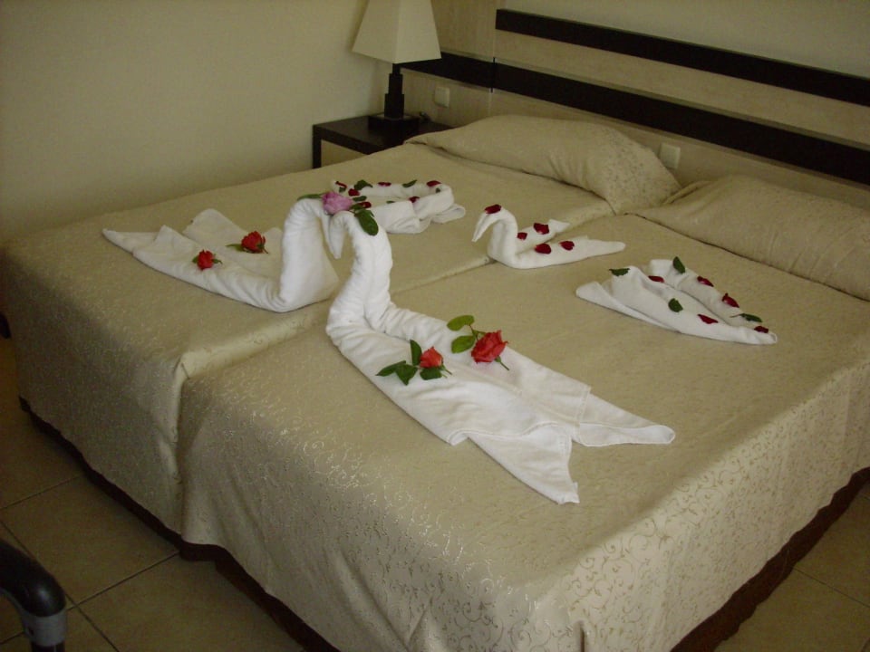 Bett Hotel Orfeus Park