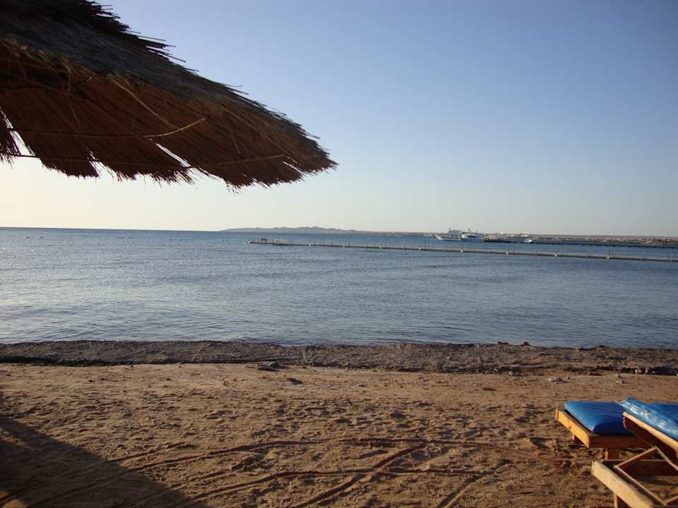 Leidr immer noch ohne Plattform Pickalbatros Palace Resort