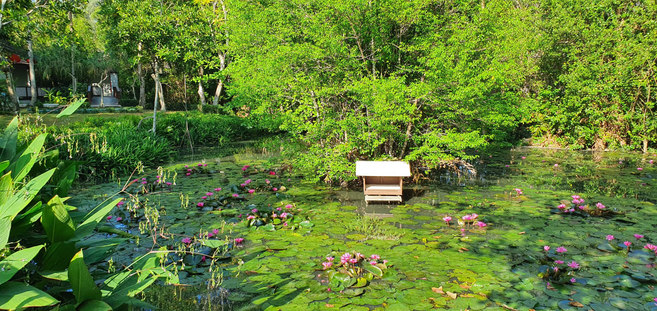 Gartenanlage Dusit Thani Krabi Beach Resort