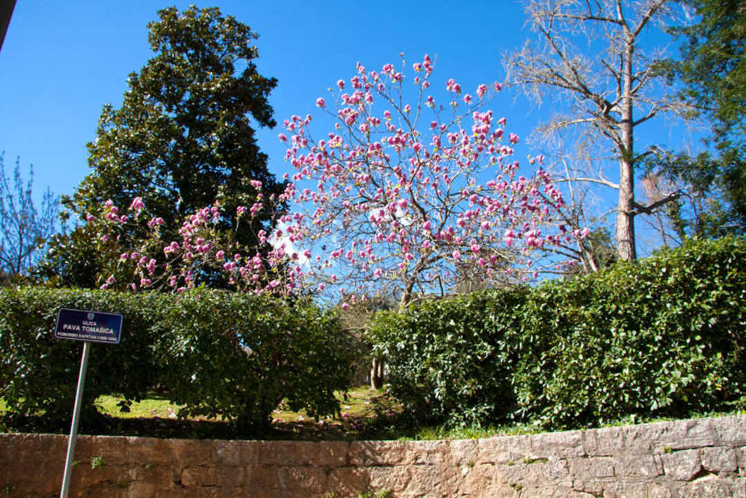 Ortsmitte Apartment Maria