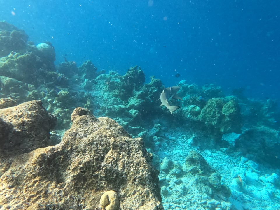 Strand Adaaran Club Rannalhi - All Inclusive