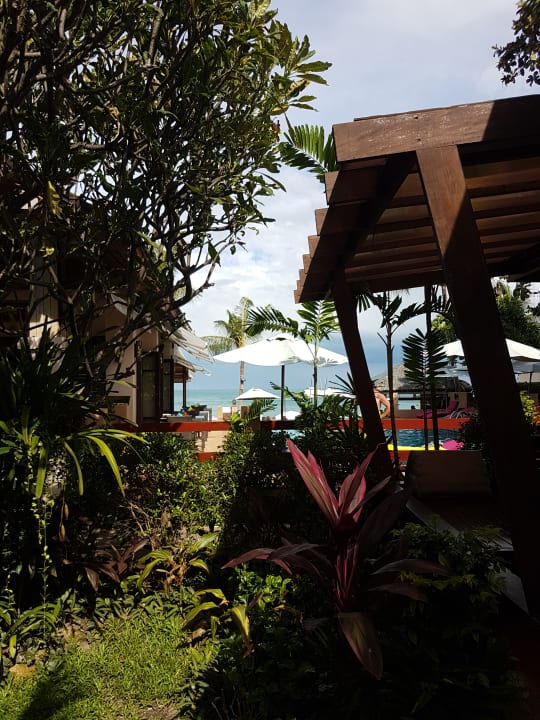 Ausblick Samui Jasmine Resort