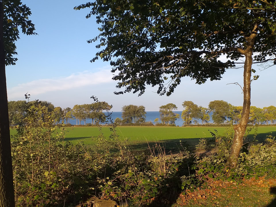 Ausblick Ferienbauernhof Liesenberg mit Meerblick
