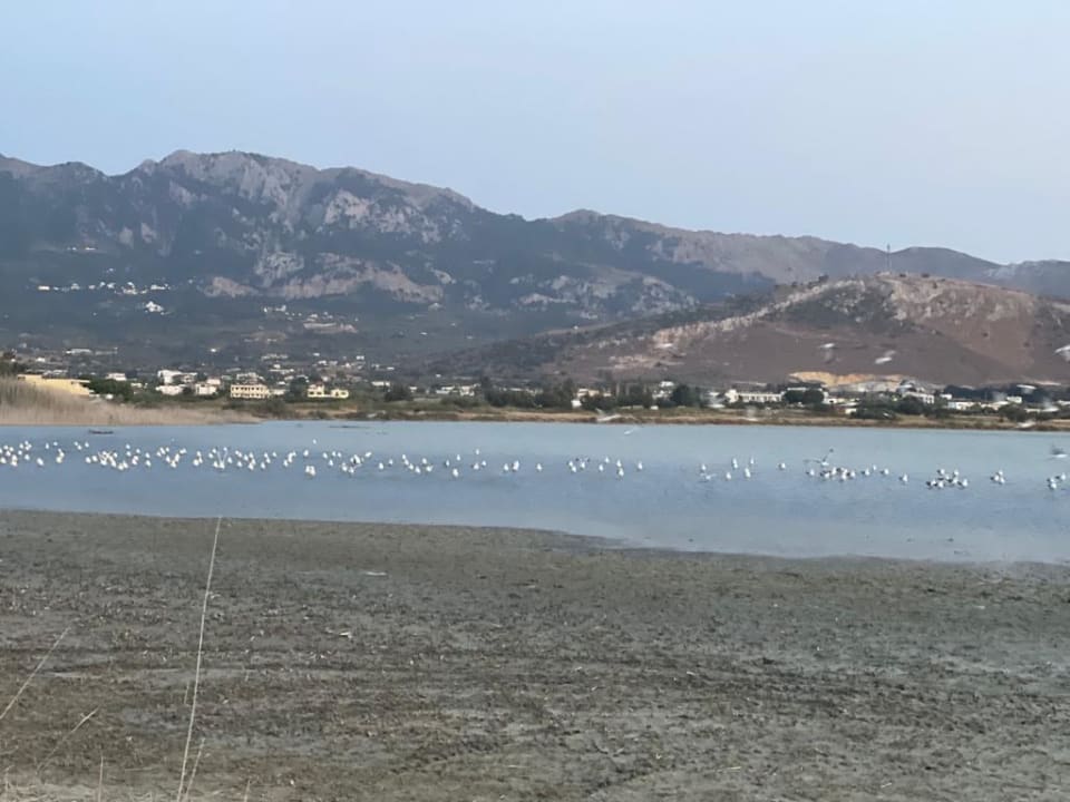 Strand Ilios K Village Resort