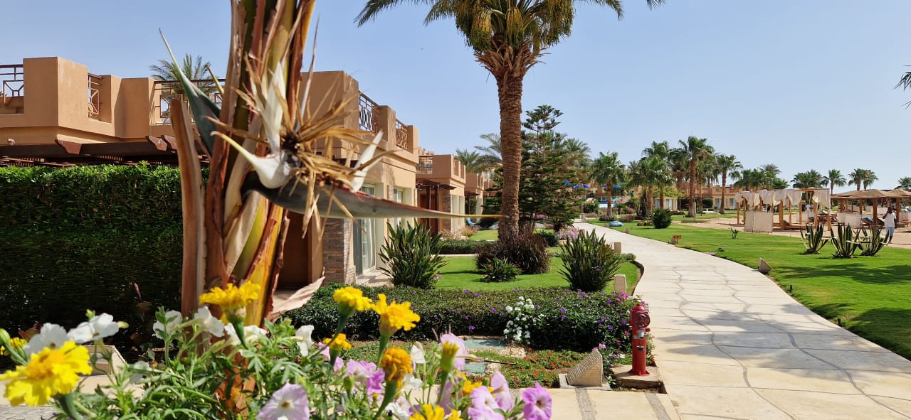 Gartenanlage Shams Prestige Abu Soma-Adults Only