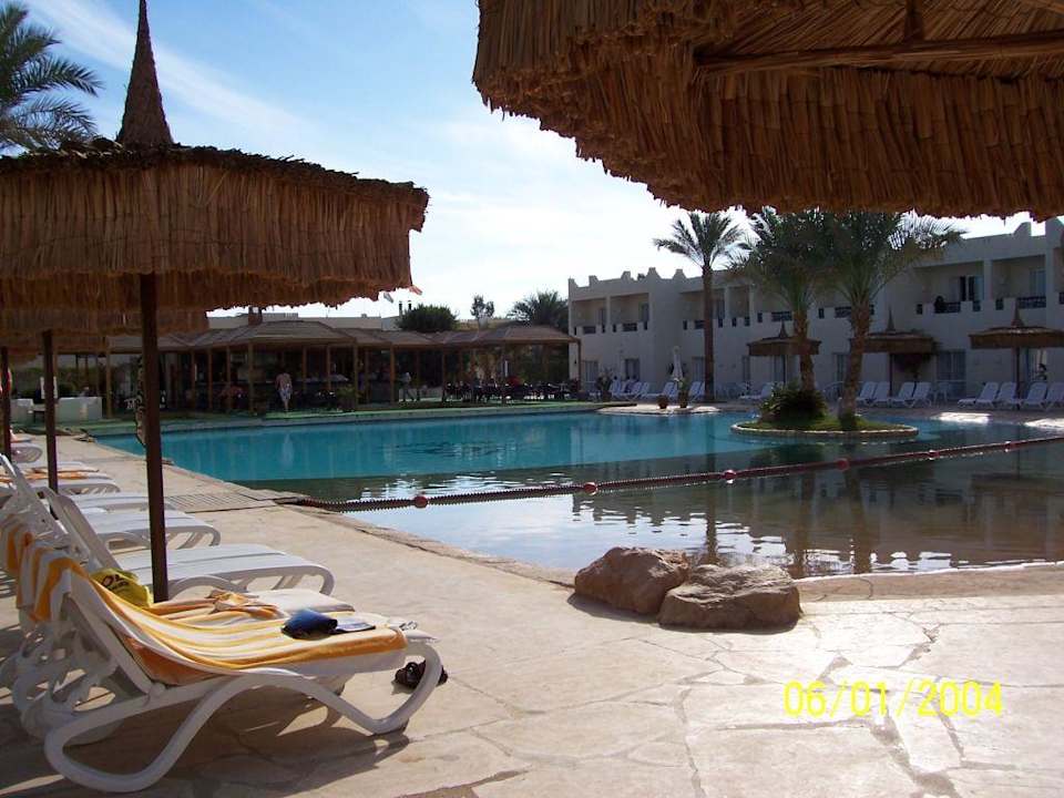 Rama Pool - unser Lieblingsort  Hotel Reef Oasis Palms