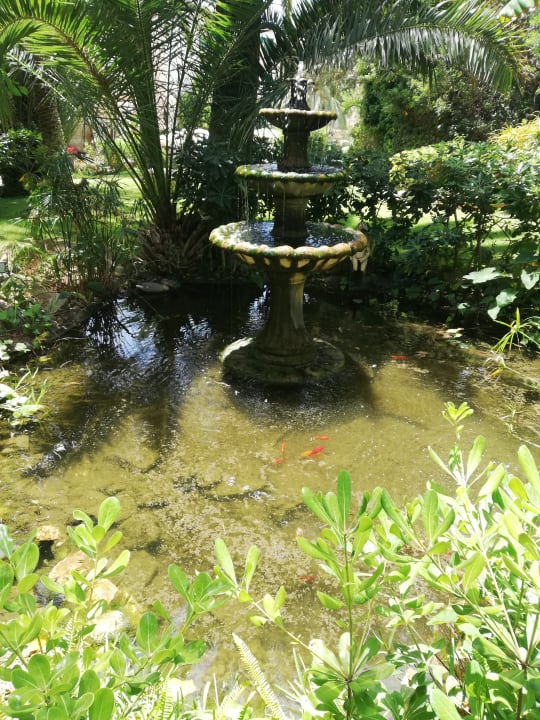 Gartenanlage Lago Garden