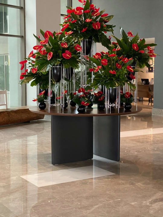 Lobby Acanthus Cennet Barut Collection