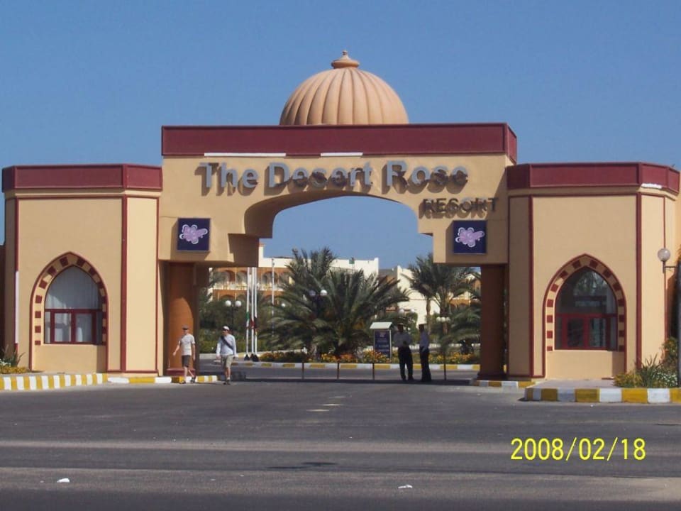 Desert rose Desert Rose