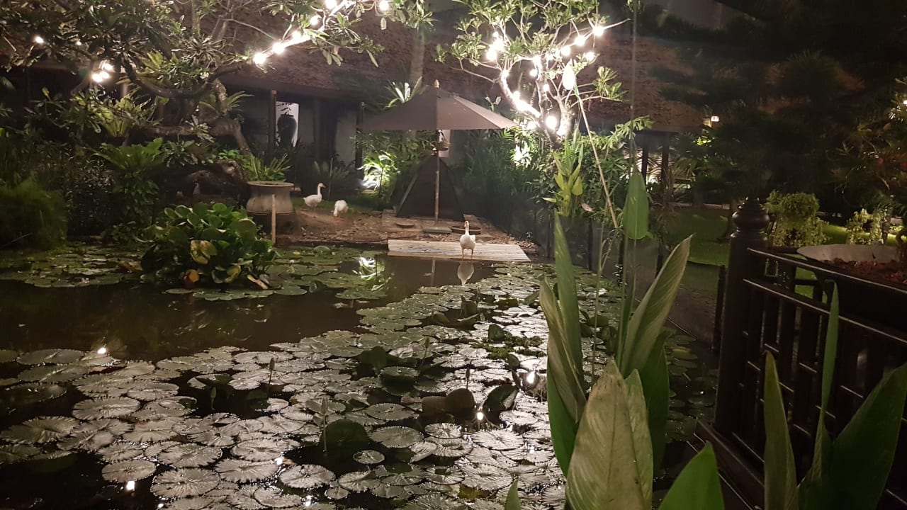 Gartenanlage Avani Pattaya Resort