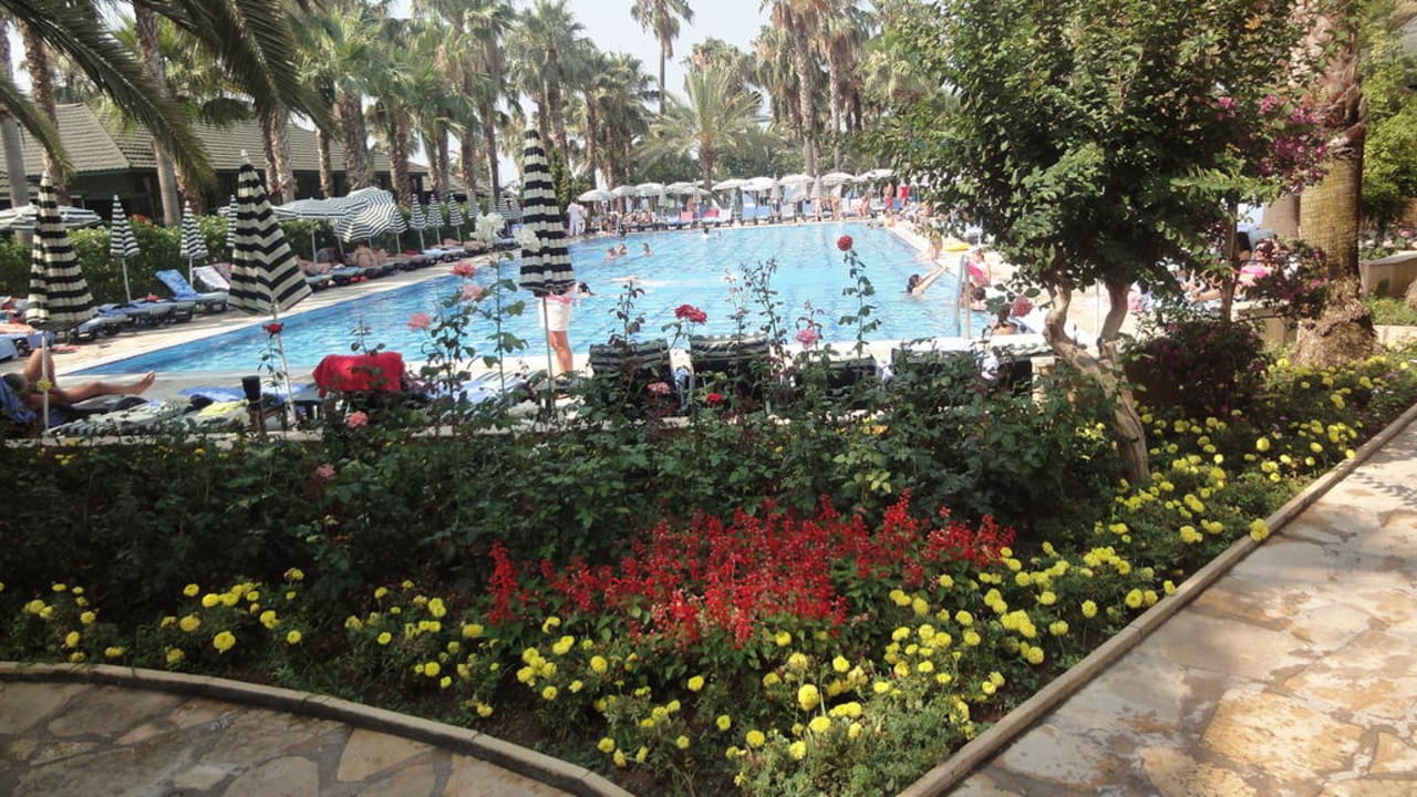 Pool Hotel Meryan
