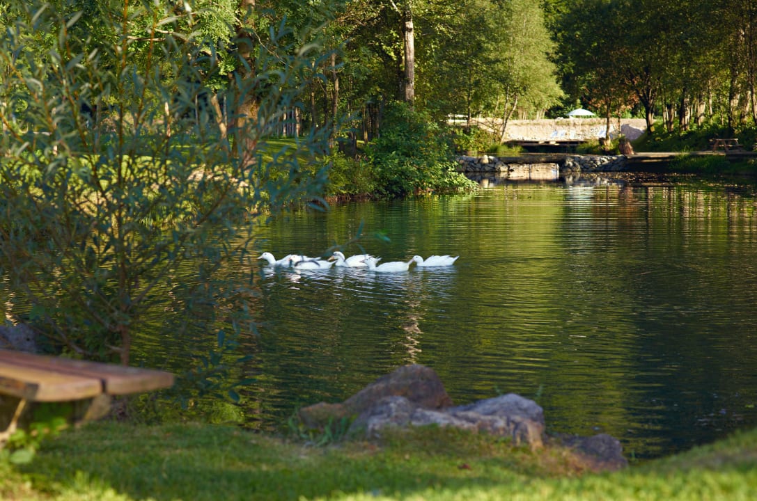 Unser Schanzer Teich mit Grillplatz Hotel Zur Schanz