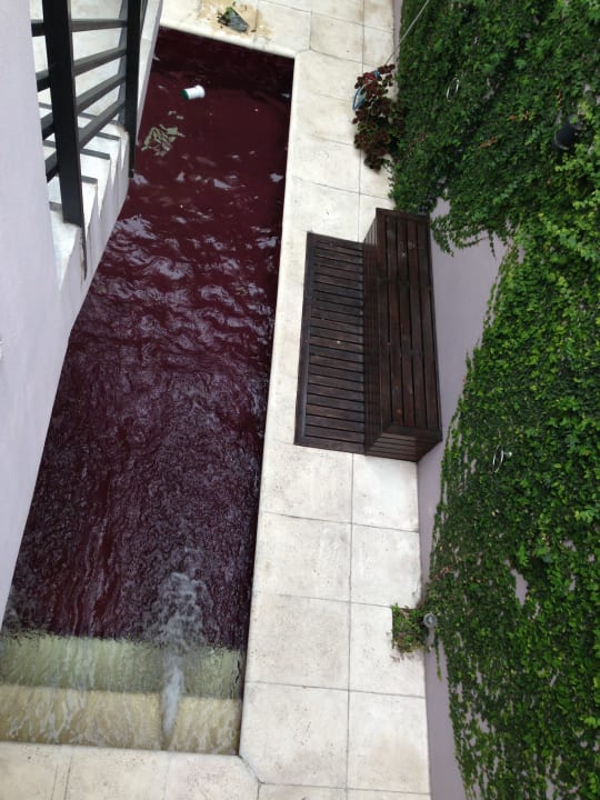 'Pool' Las Cepas Hotel de Cata & Relax