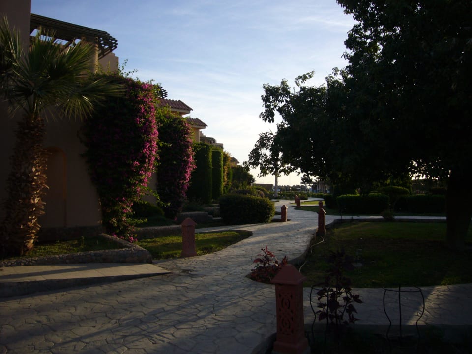 Утро Ali Baba Palace Hotel