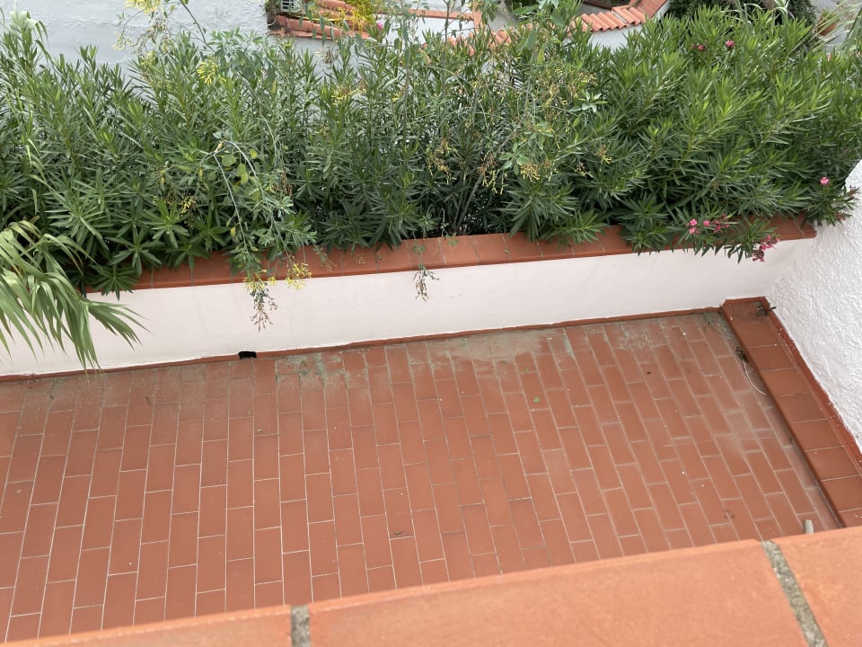 Gartenanlage Hotel Terme Royal Palm