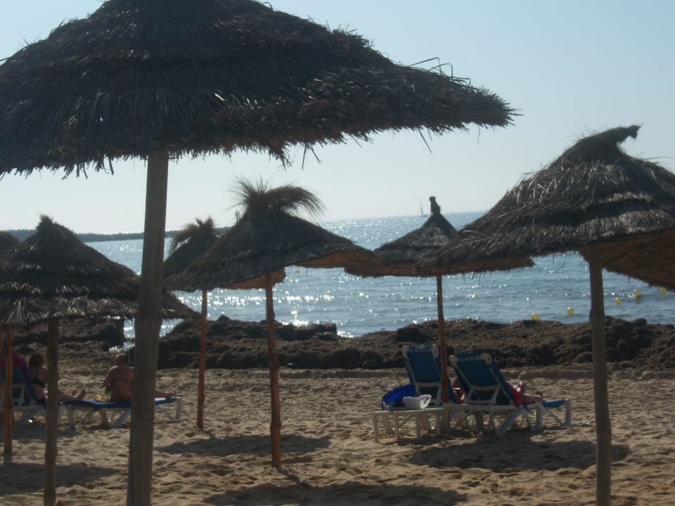 Strand und liegen sind ok Medina Solaria & Thalasso