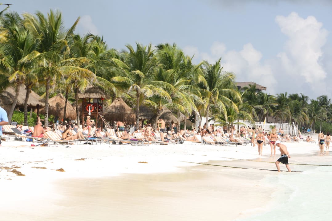 Wie die Heringe Catalonia Royal Tulum Beach & Spa Resort - Adults only