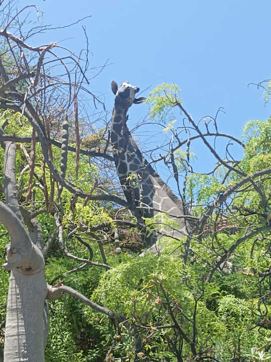 Außenansicht Lopesan Baobab Resort