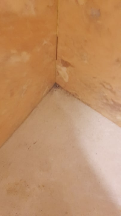 Zimmer Gloria Palace San Agustin Thalasso & Hotel