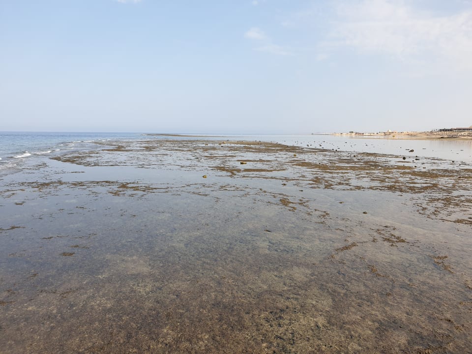 Strand Pickalbatros Vita Resort - Portofino Marsa Alam