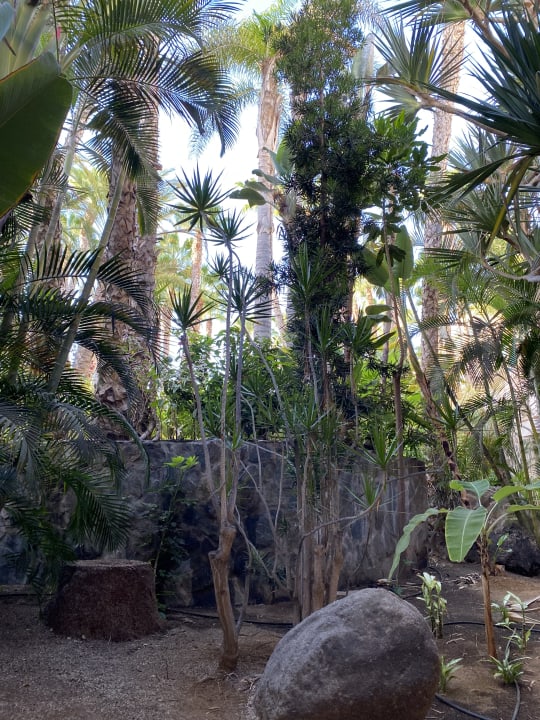 Gartenanlage Maspalomas Princess