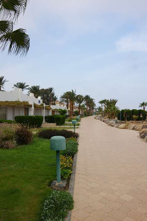 Gartenanlage Shams Safaga Resort