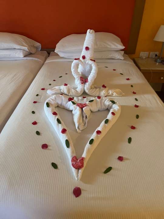 Zimmer Hotel Gorgonia Beach Resort