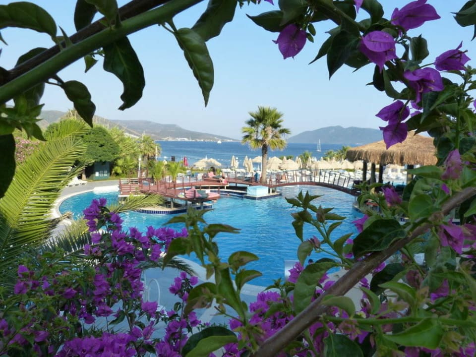 Blick zur Poolanlage Salmakis Resort & Spa