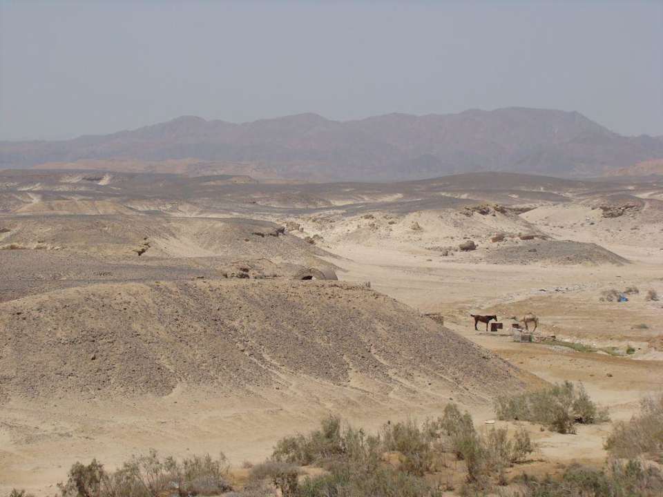 Blick in die Wüste vom Hoteldach Brayka Bay Resort
